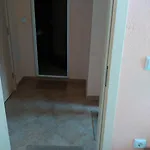 Fits Affittacamere
